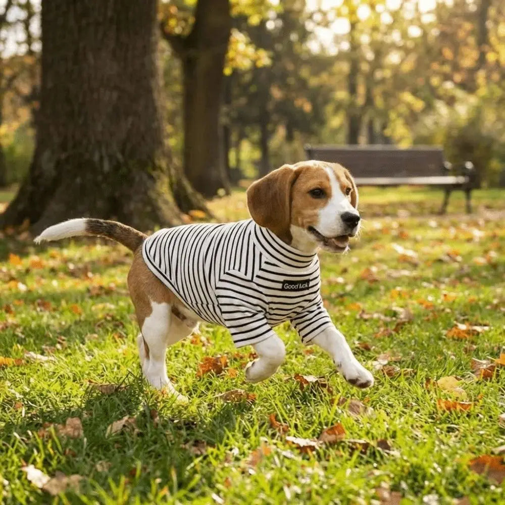 Dog Clothing High Collar Dog Thermal Shirt Warm Two Leg Dog Base Coat Soft Comfortable Pet Warm Sweater Cold Weather