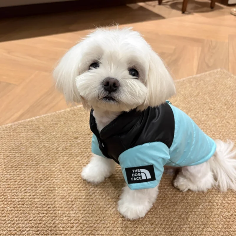 Pet Warm Cotton Coat Two-legged Dog Clothes Thickened Teddy Down Jacket Small to Medium Dog Cute Winter Clothing