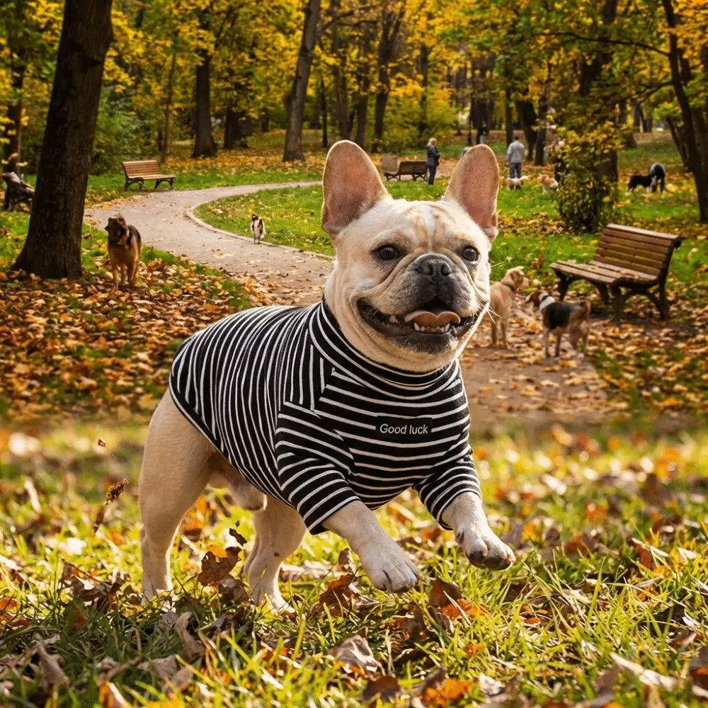 Dog Clothing High Collar Dog Thermal Shirt Warm Two Leg Dog Base Coat Soft Comfortable Pet Warm Sweater Cold Weather