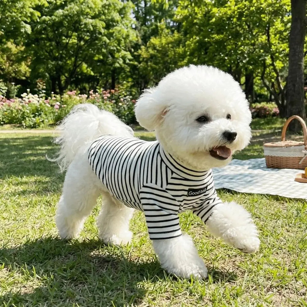 Dog Clothing High Collar Dog Thermal Shirt Warm Two Leg Dog Base Coat Soft Comfortable Pet Warm Sweater Cold Weather