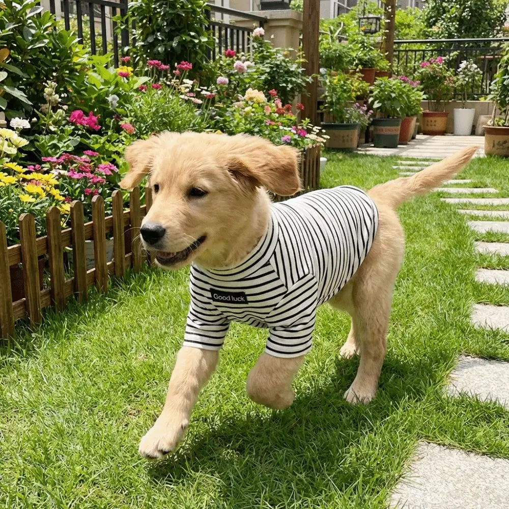 Dog Clothing High Collar Dog Thermal Shirt Warm Two Leg Dog Base Coat Soft Comfortable Pet Warm Sweater Cold Weather