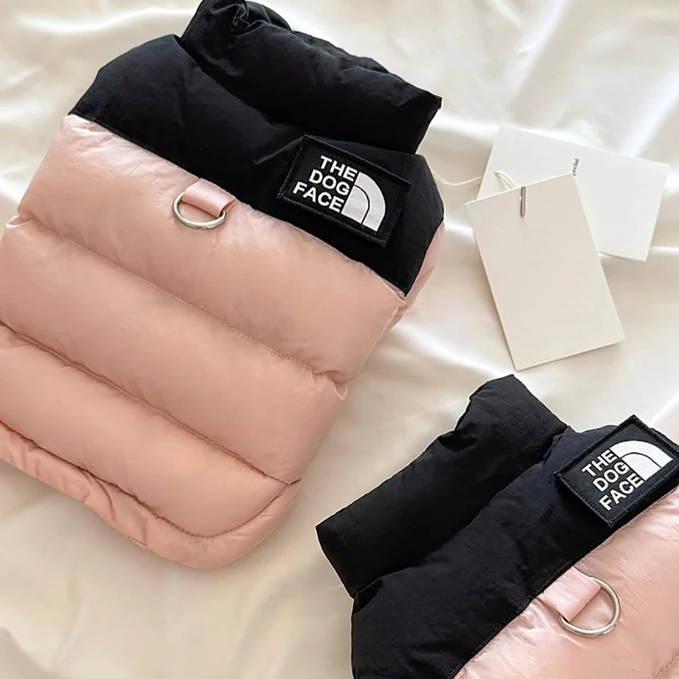 Pet Warm Cotton Coat Two-legged Dog Clothes Thickened Teddy Down Jacket Small to Medium Dog Cute Winter Clothing