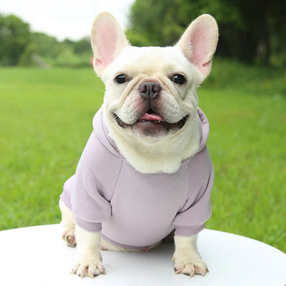 Pet Dog Clothes For Small Dogs Clothing Warm Clothing for Chihuahua Coat Puppy Outfit Pet Clothes for French Bulldog Hoodies