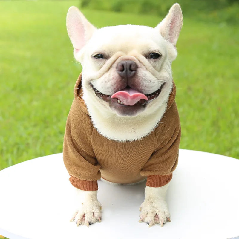 Pet Dog Clothes For Small Dogs Clothing Warm Clothing for Chihuahua Coat Puppy Outfit Pet Clothes for French Bulldog Hoodies