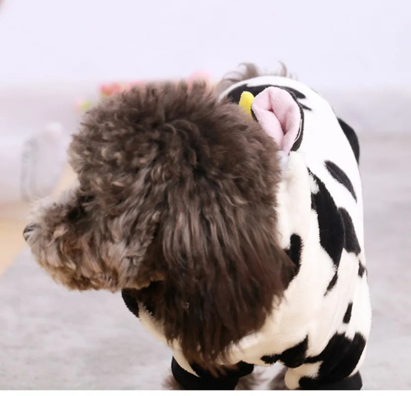 Dog Clothing Autumn Winter Thickened Coral Velvet Thermal Insulation Teddy Puppy Clothes Warm Garment Dinosaur Cream Dress Up
