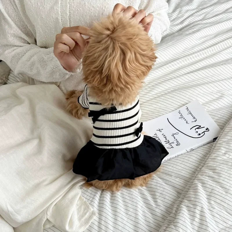 Dog Clothes for Small Dogs Dog Summer T-Shirt Pet Dog Skirt Black White Retro Dresses Puppy Costume Chihuahua Bichon Clothing