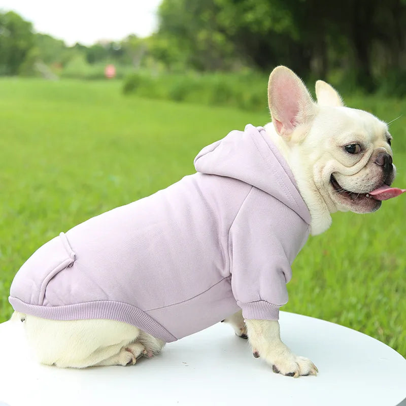 Pet Dog Clothes For Small Dogs Clothing Warm Clothing for Chihuahua Coat Puppy Outfit Pet Clothes for French Bulldog Hoodies