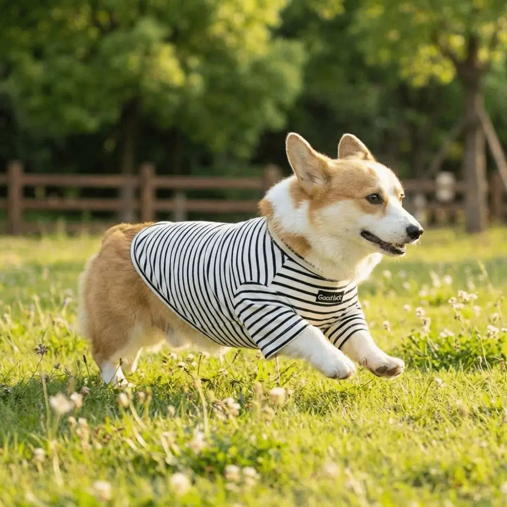 Dog Clothing High Collar Dog Thermal Shirt Warm Two Leg Dog Base Coat Soft Comfortable Pet Warm Sweater Cold Weather