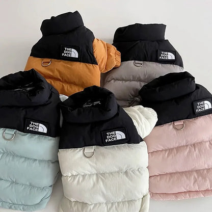 Pet Warm Cotton Coat Two-legged Dog Clothes Thickened Teddy Down Jacket Small to Medium Dog Cute Winter Clothing