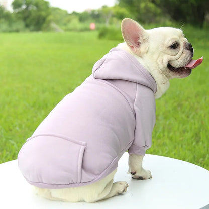 Pet Dog Clothes For Small Dogs Clothing Warm Clothing for Chihuahua Coat Puppy Outfit Pet Clothes for French Bulldog Hoodies