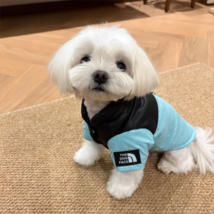 Pet Warm Cotton Coat Two-legged Dog Clothes Thickened Teddy Down Jacket Small to Medium Dog Cute Winter Clothing