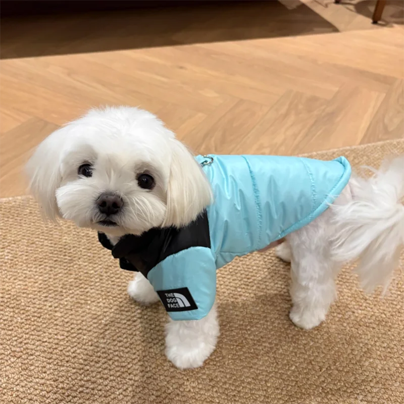 Pet Warm Cotton Coat Two-legged Dog Clothes Thickened Teddy Down Jacket Small to Medium Dog Cute Winter Clothing
