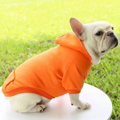 Pet Dog Clothes For Small Dogs Clothing Warm Clothing for Chihuahua Coat Puppy Outfit Pet Clothes for French Bulldog Hoodies