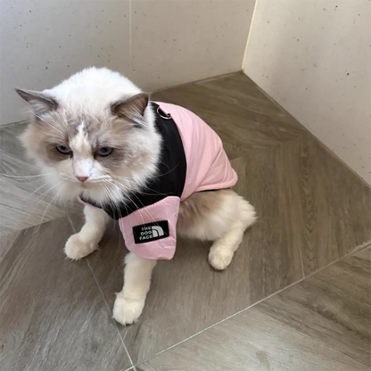 Pet Warm Cotton Coat Two-legged Dog Clothes Thickened Teddy Down Jacket Small to Medium Dog Cute Winter Clothing