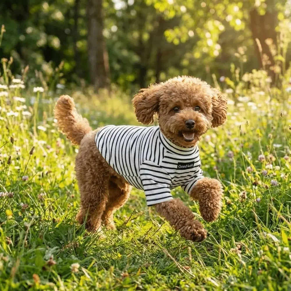 Dog Clothing High Collar Dog Thermal Shirt Warm Two Leg Dog Base Coat Soft Comfortable Pet Warm Sweater Cold Weather