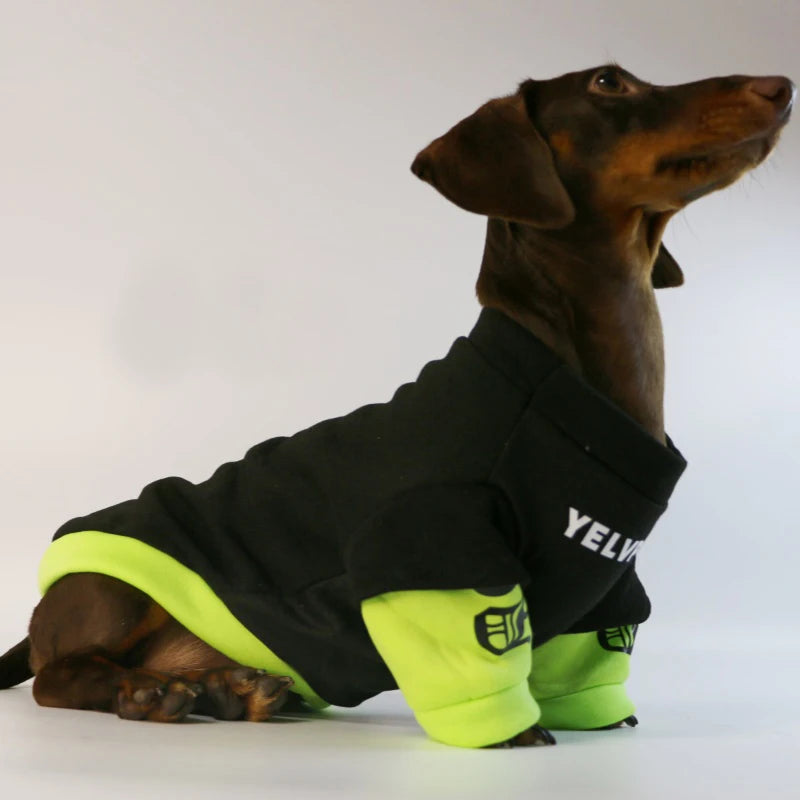 Fashion Dog Clothes For Dachshund French Bulldog Spring Warm Pet Clothing Dog Jacket Pug Sweater Jumpsuit For Samll Media Dogs