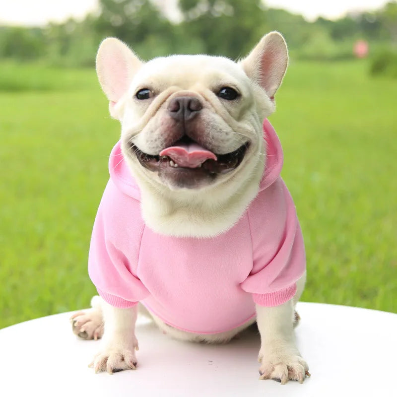 Pet Dog Clothes For Small Dogs Clothing Warm Clothing for Chihuahua Coat Puppy Outfit Pet Clothes for French Bulldog Hoodies