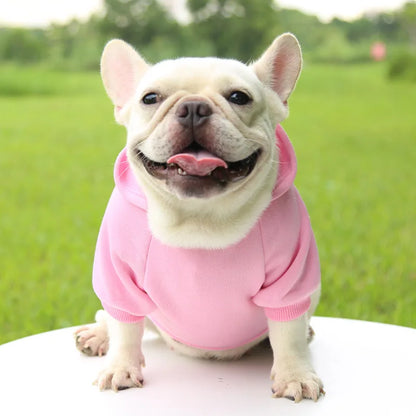 Pet Dog Clothes For Small Dogs Clothing Warm Clothing for Chihuahua Coat Puppy Outfit Pet Clothes for French Bulldog Hoodies