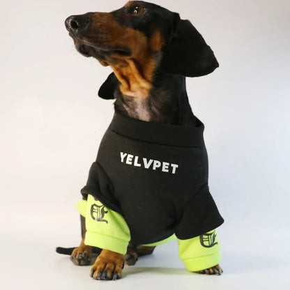 Fashion Dog Clothes For Dachshund French Bulldog Spring Warm Pet Clothing Dog Jacket Pug Sweater Jumpsuit For Samll Media Dogs