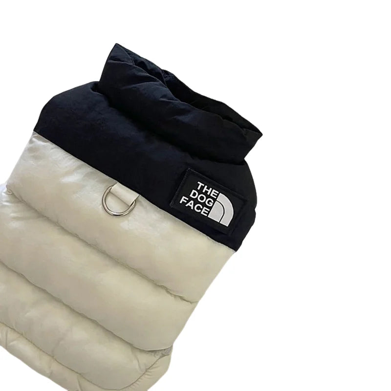 Pet Warm Cotton Coat Two-legged Dog Clothes Thickened Teddy Down Jacket Small to Medium Dog Cute Winter Clothing