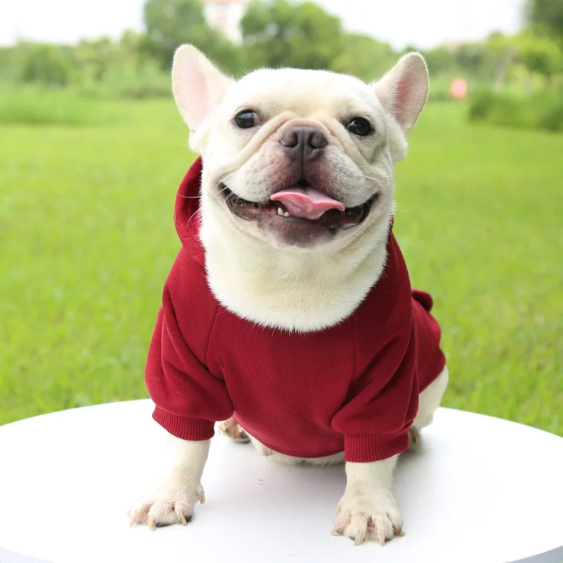 Pet Dog Clothes For Small Dogs Clothing Warm Clothing for Chihuahua Coat Puppy Outfit Pet Clothes for French Bulldog Hoodies