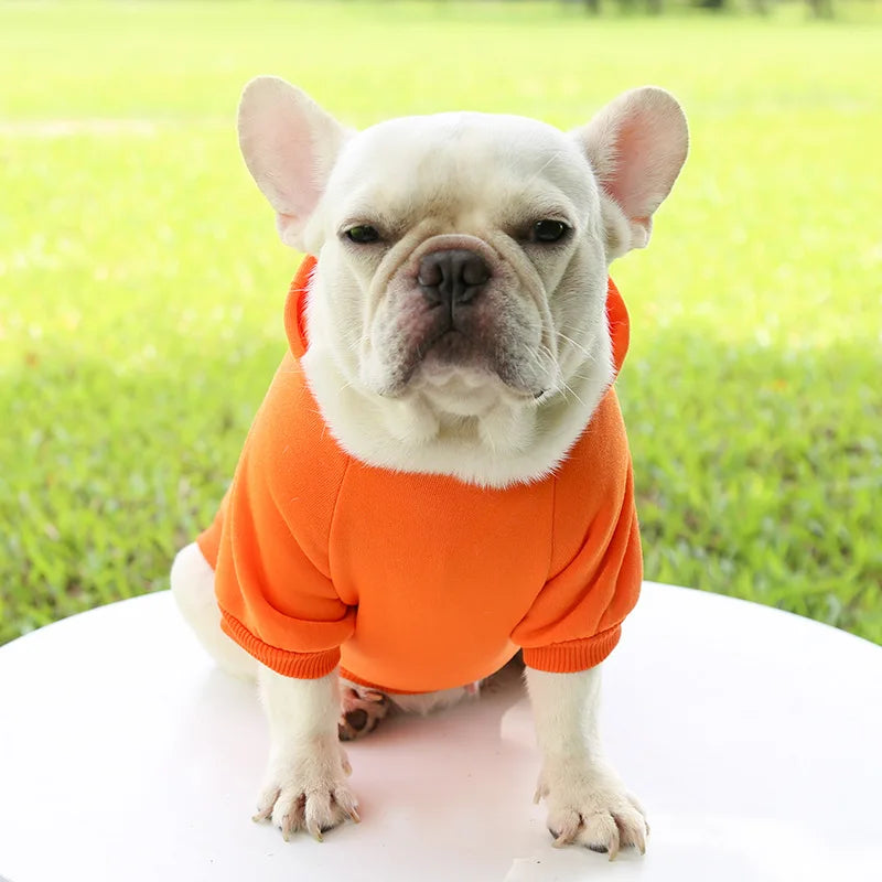 Pet Dog Clothes For Small Dogs Clothing Warm Clothing for Chihuahua Coat Puppy Outfit Pet Clothes for French Bulldog Hoodies