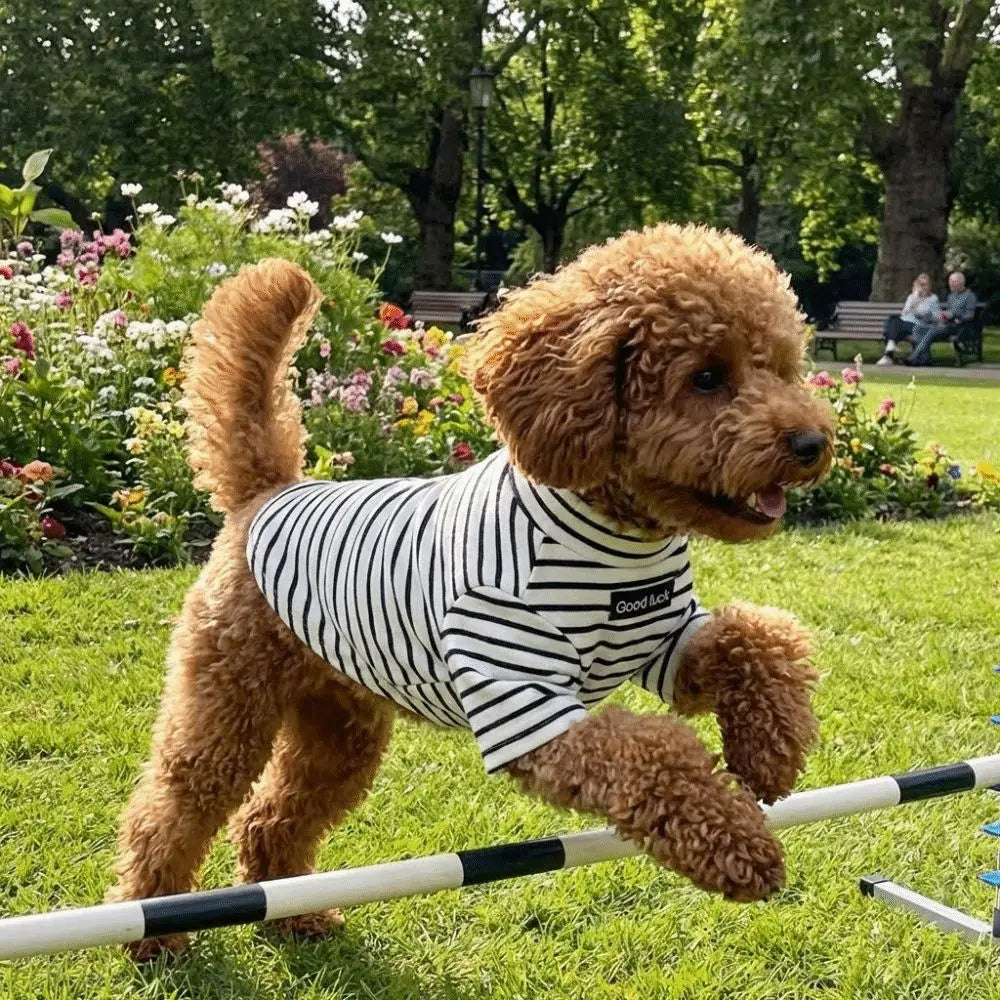 Dog Clothing High Collar Dog Thermal Shirt Warm Two Leg Dog Base Coat Soft Comfortable Pet Warm Sweater Cold Weather