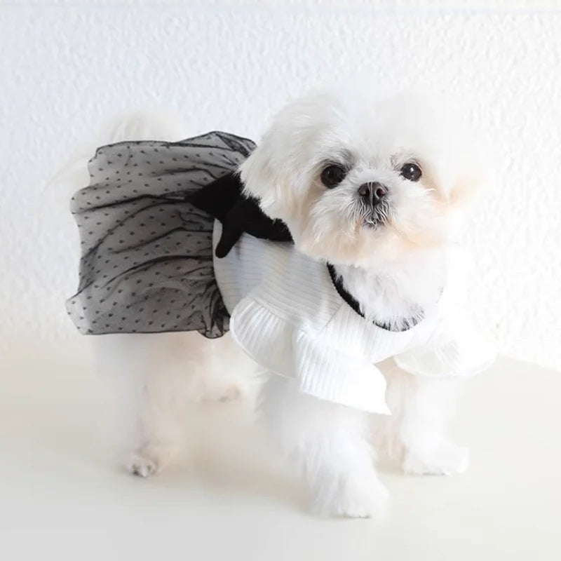 Dog Clothes for Small Dogs Dog Summer T-Shirt Pet Dog Skirt Black White Retro Dresses Puppy Costume Chihuahua Bichon Clothing