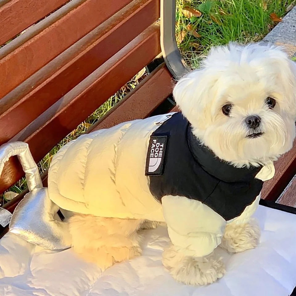 Pet Warm Cotton Coat Two-legged Dog Clothes Thickened Teddy Down Jacket Small to Medium Dog Cute Winter Clothing