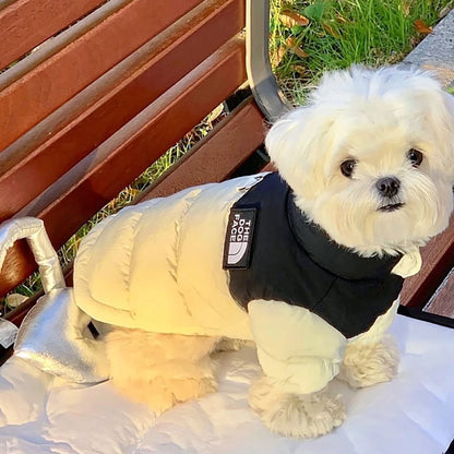 Pet Warm Cotton Coat Two-legged Dog Clothes Thickened Teddy Down Jacket Small to Medium Dog Cute Winter Clothing