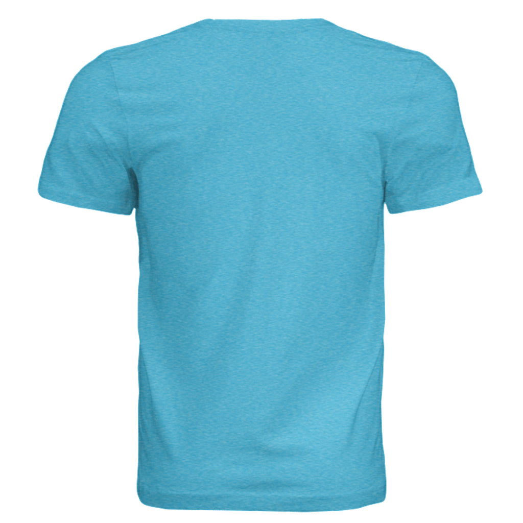 AQUA TRIBLEND - 3413C - BACK