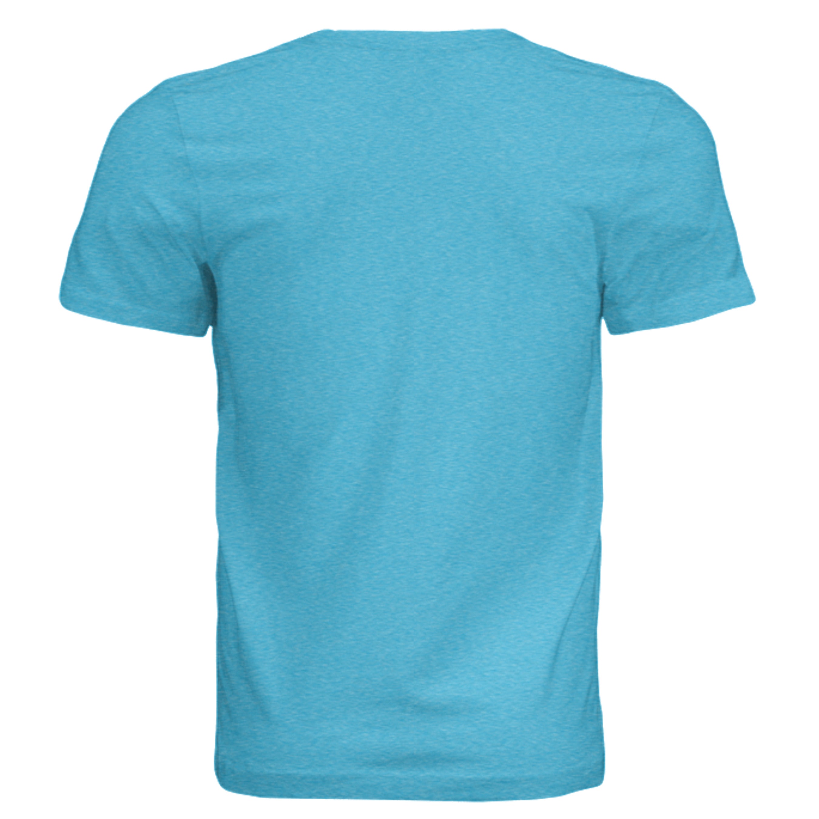 AQUA TRIBLEND - 3413C - BACK